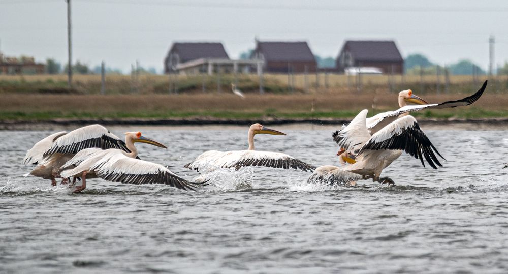 Photograph by Савчук Сергей