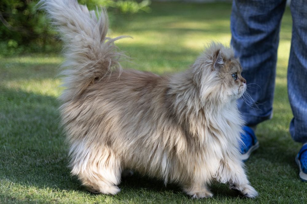 Photograph by Беликов Михаил