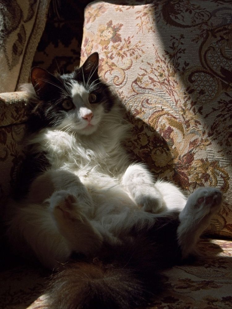 Photograph by Смирнов Алексей