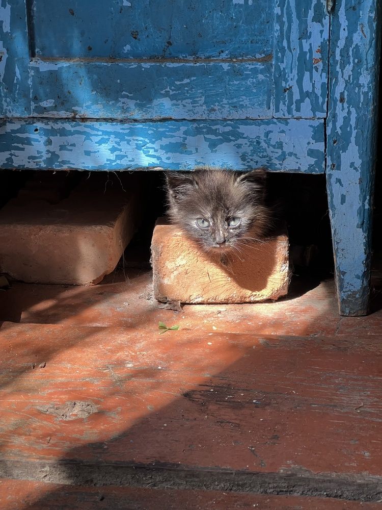 Photograph by Дарья