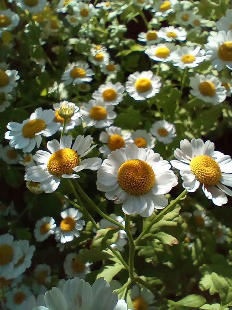 Photograph by Наталья Сырых