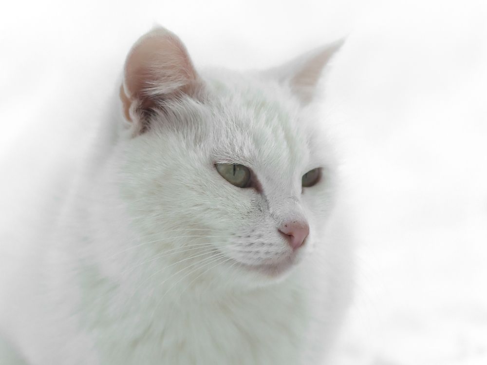 Photograph by Смирнов Алексей