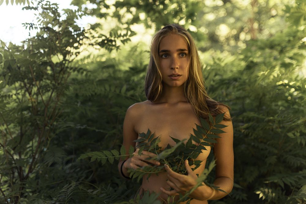 Фотография автора Владимир Никитин