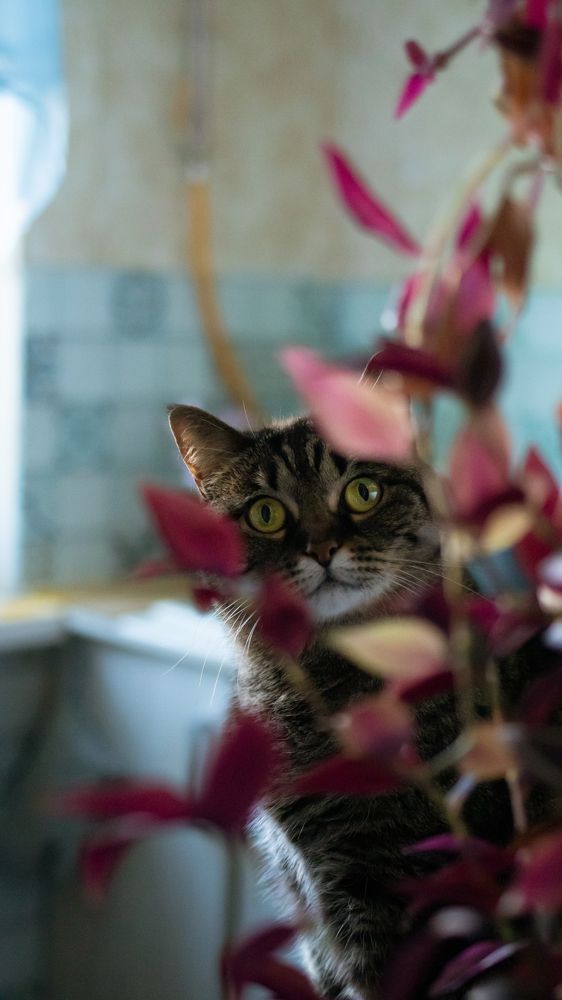 Photograph by Екатерина Талалай