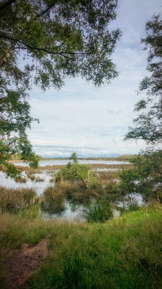 Photograph by Lynx Studios NL