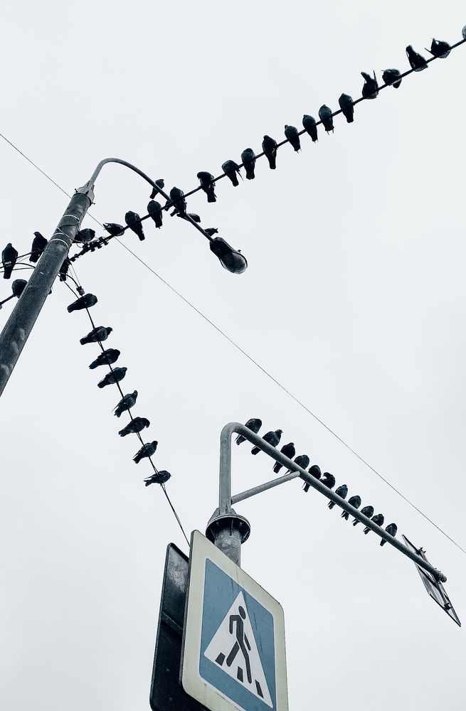 Photograph by Valeria Morozova