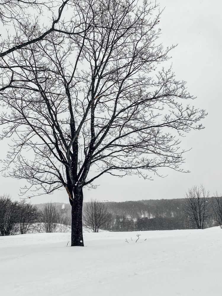 Photograph by Valeria Morozova