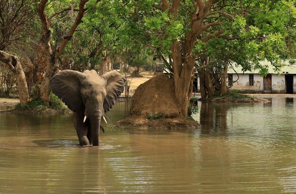 Photograph by Диана Жагрина