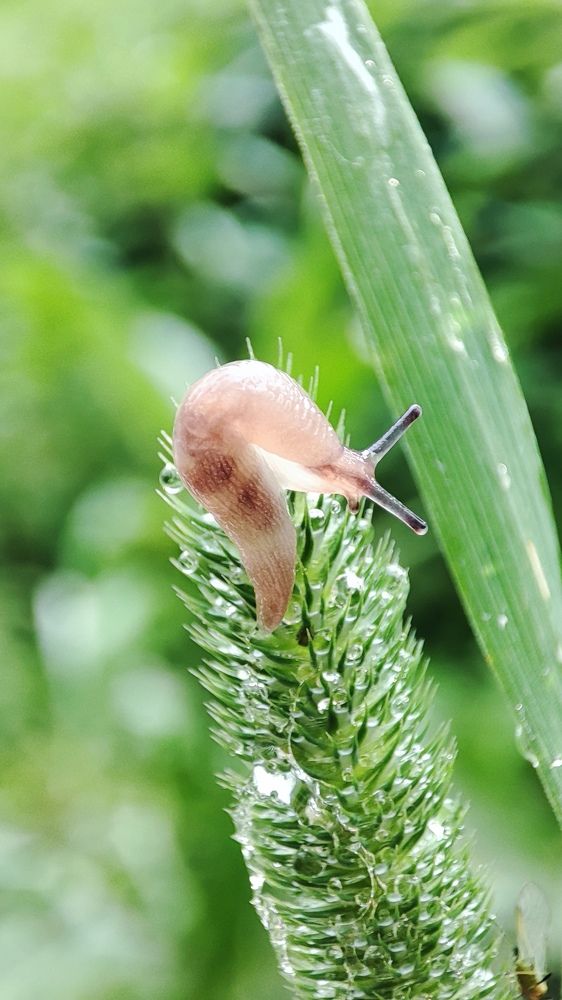 После дождя