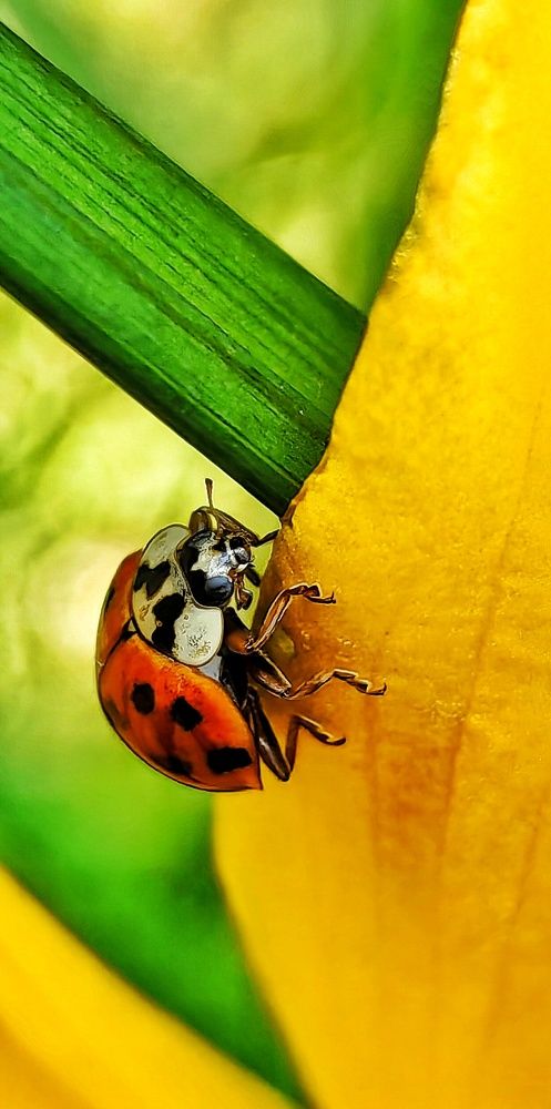 Фотография автора НАТАЛЬЯ СЕВЕР