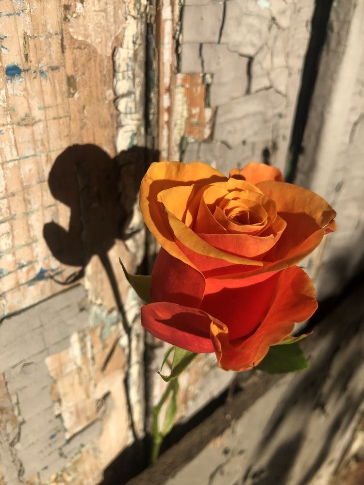 Photograph by Лариса Куторжевская