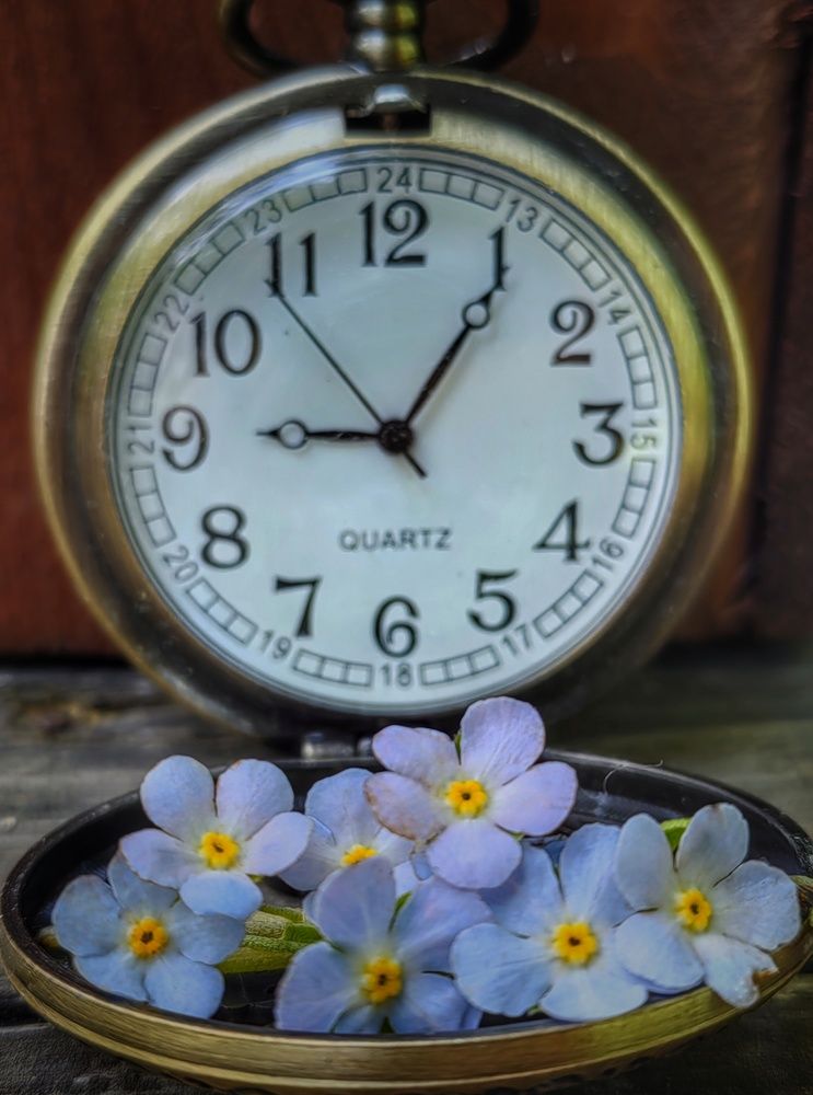 Фотография автора НАТАЛЬЯ СЕВЕР