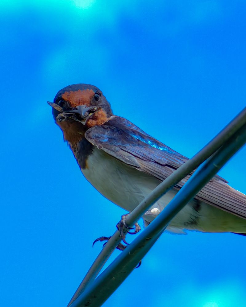 Photograph by Наталья Балабанова