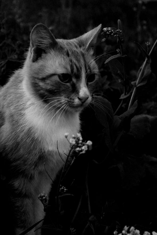 Photograph by Руслан Гордиенко