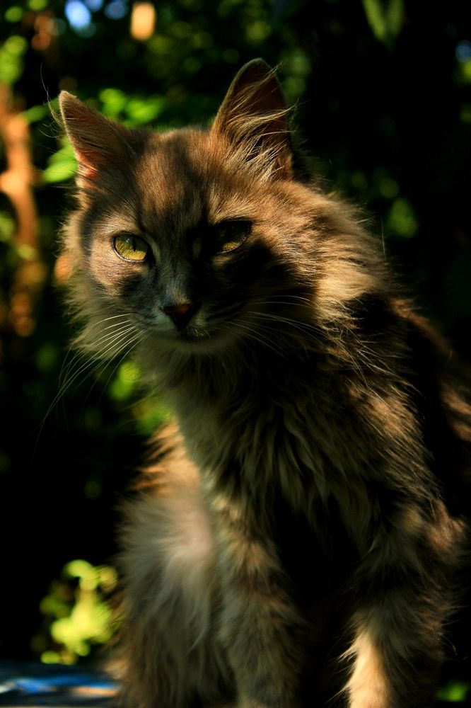 Photograph by Руслан Гордиенко