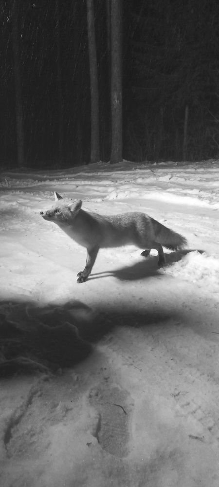 Photograph by Светлана Зайкова