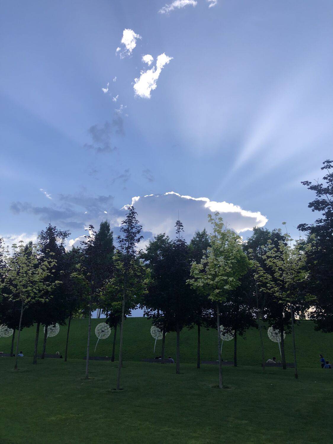 Photo #10801214