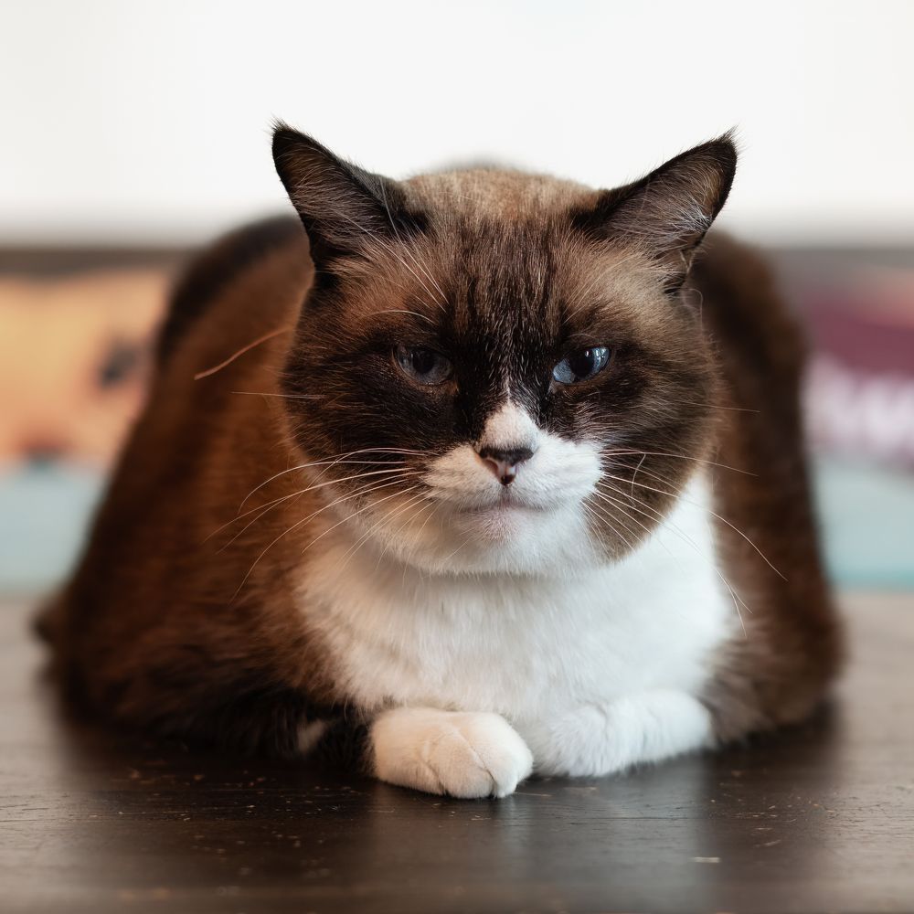 Photograph by Дудников Александр