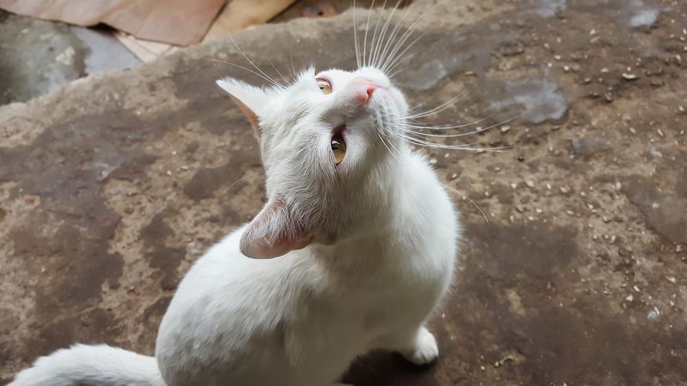 Photograph by Дудников Александр