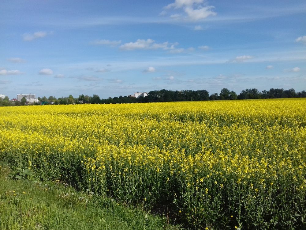 Photograph by Екатерина Познякова