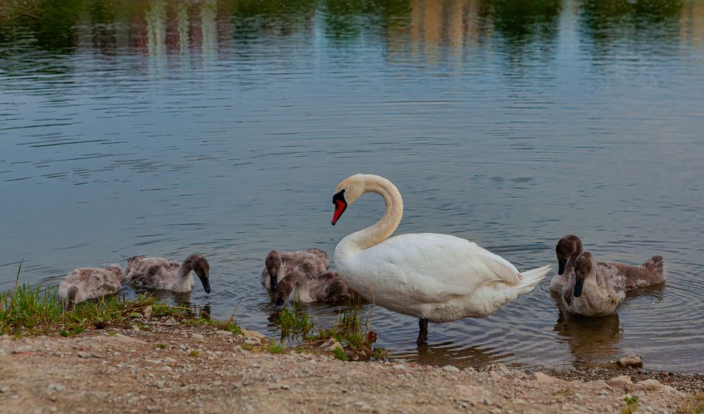 Photograph by yuri kutukov