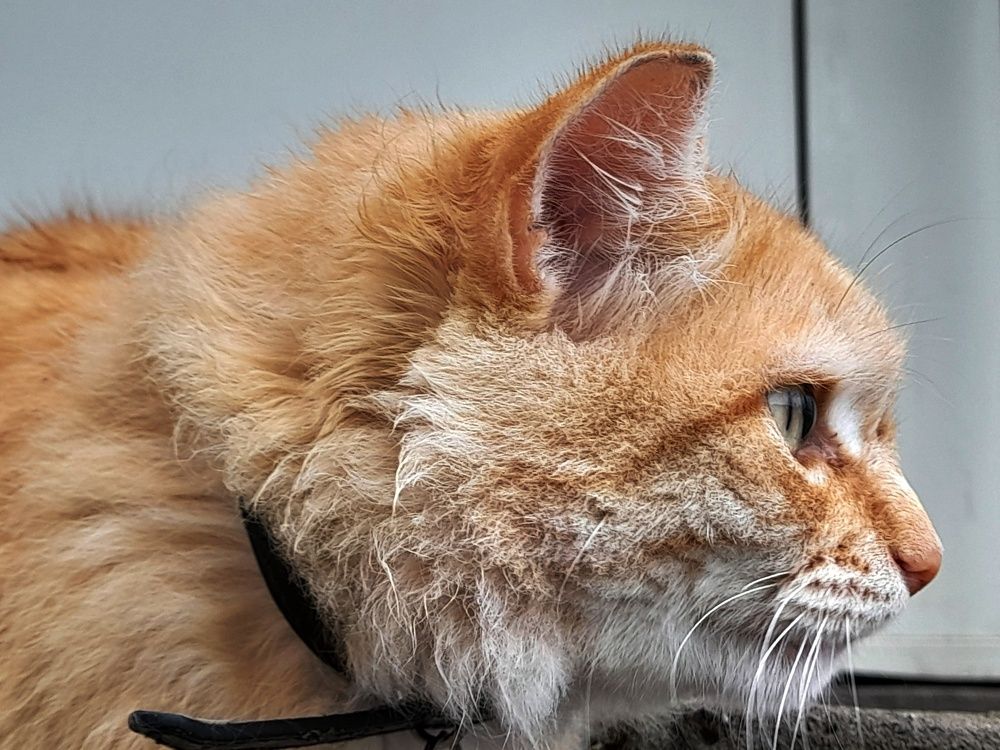 Photograph by Ольга Березовская