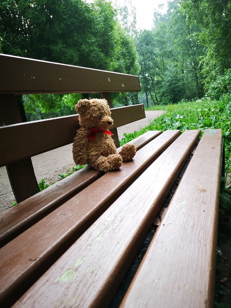 Фотография автора Andrew