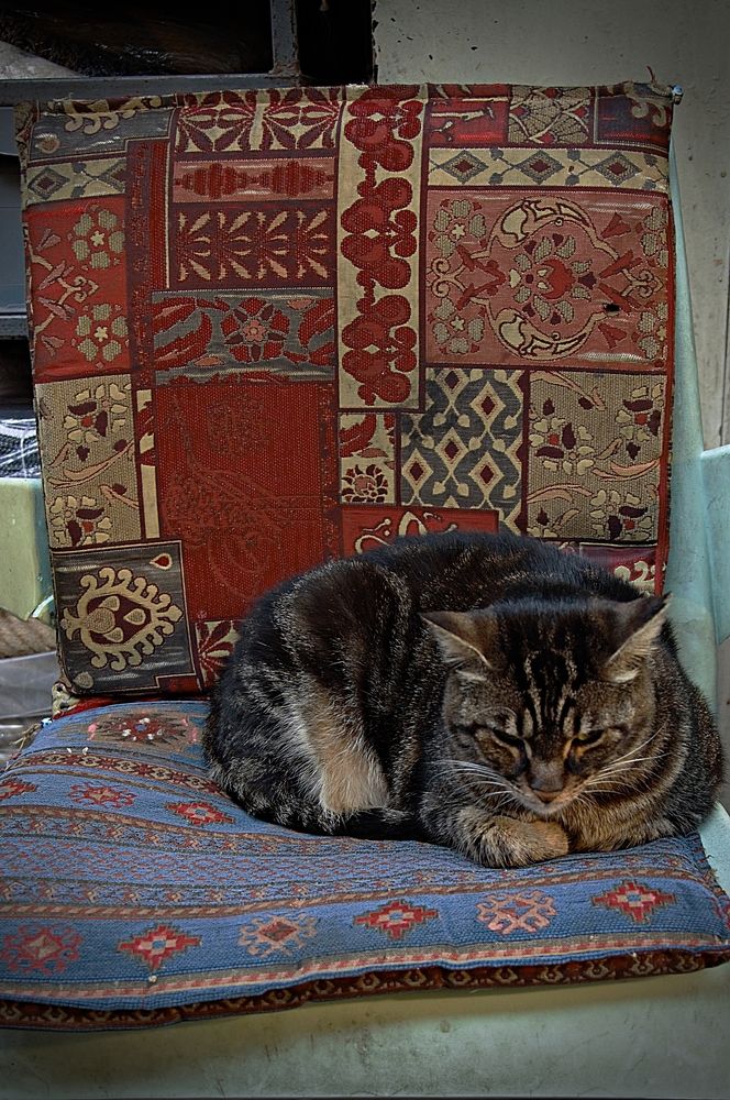 Photograph by George Stournaras