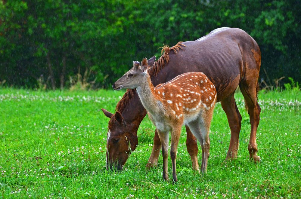 Фотография автора Антип
