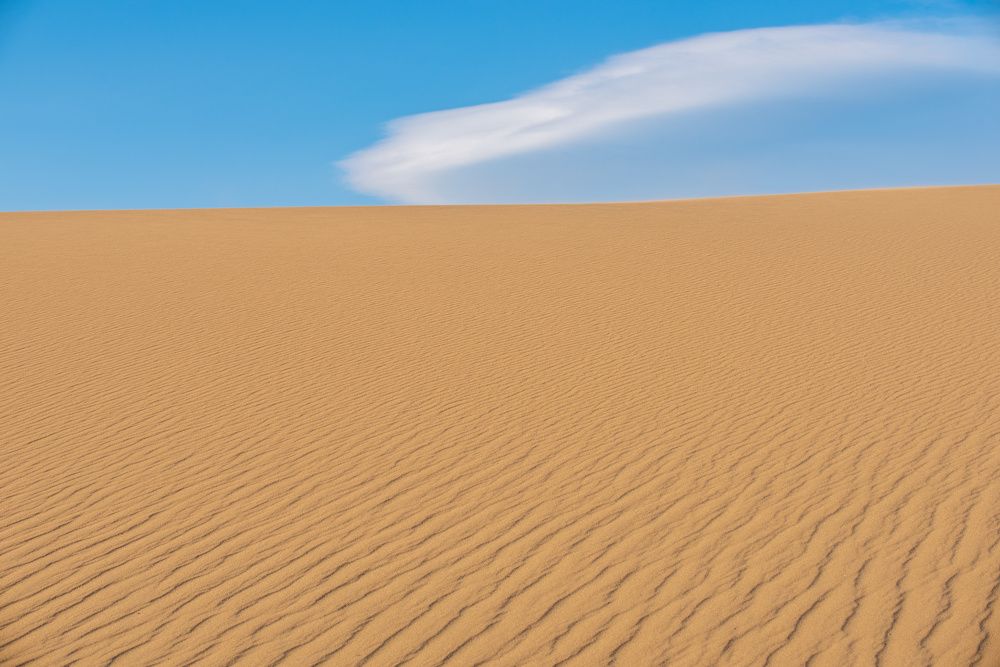 Photograph by Крицак Ольга