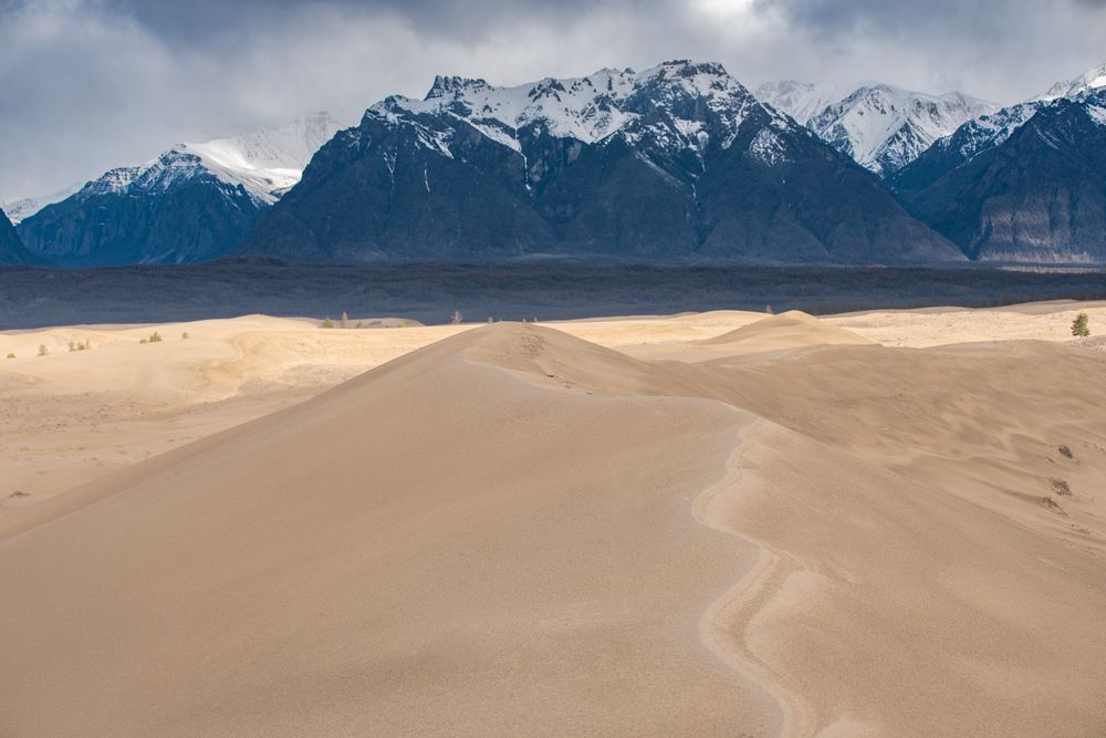 Photograph by Крицак Ольга