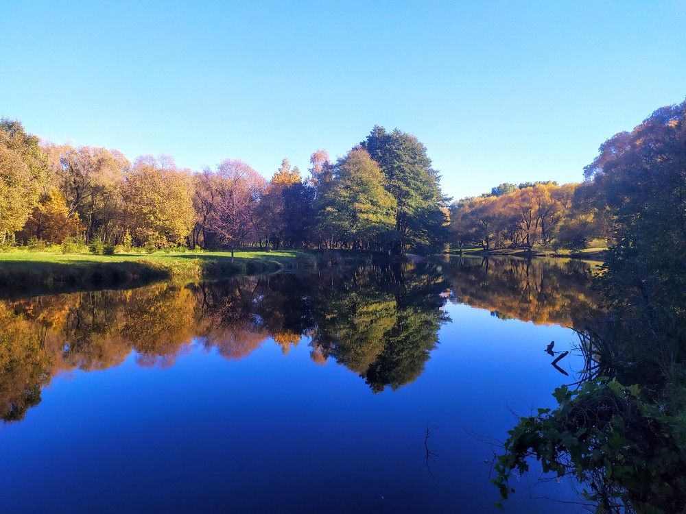 Photograph by Людмила Муравьева