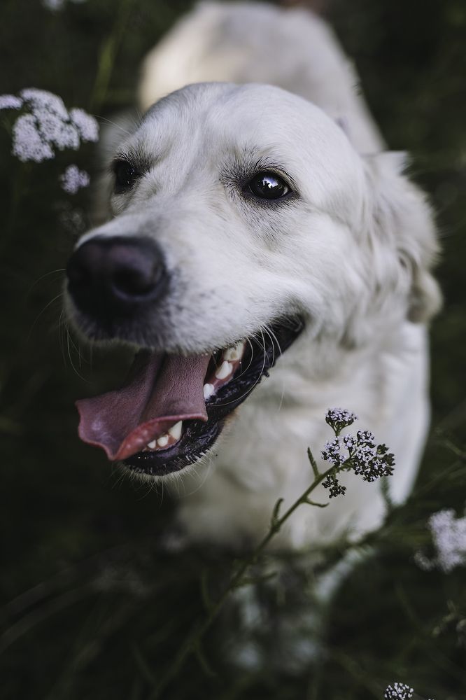 Photograph by Anna Sindikayeva