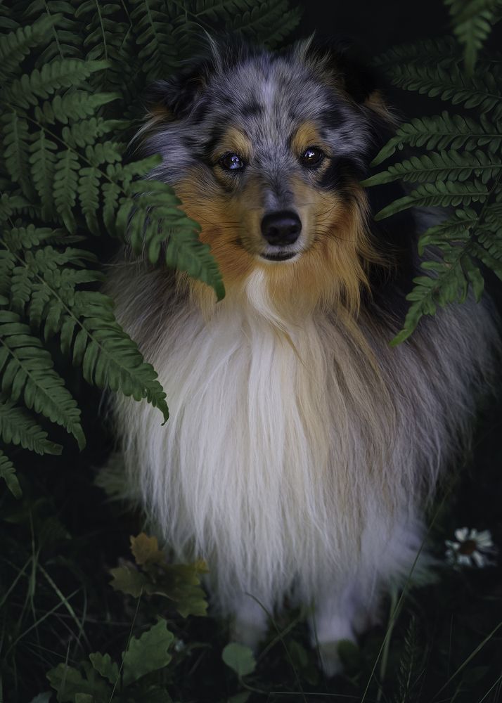 Photograph by Anna Sindikayeva