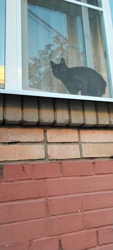 Photograph by Светлана Зотова