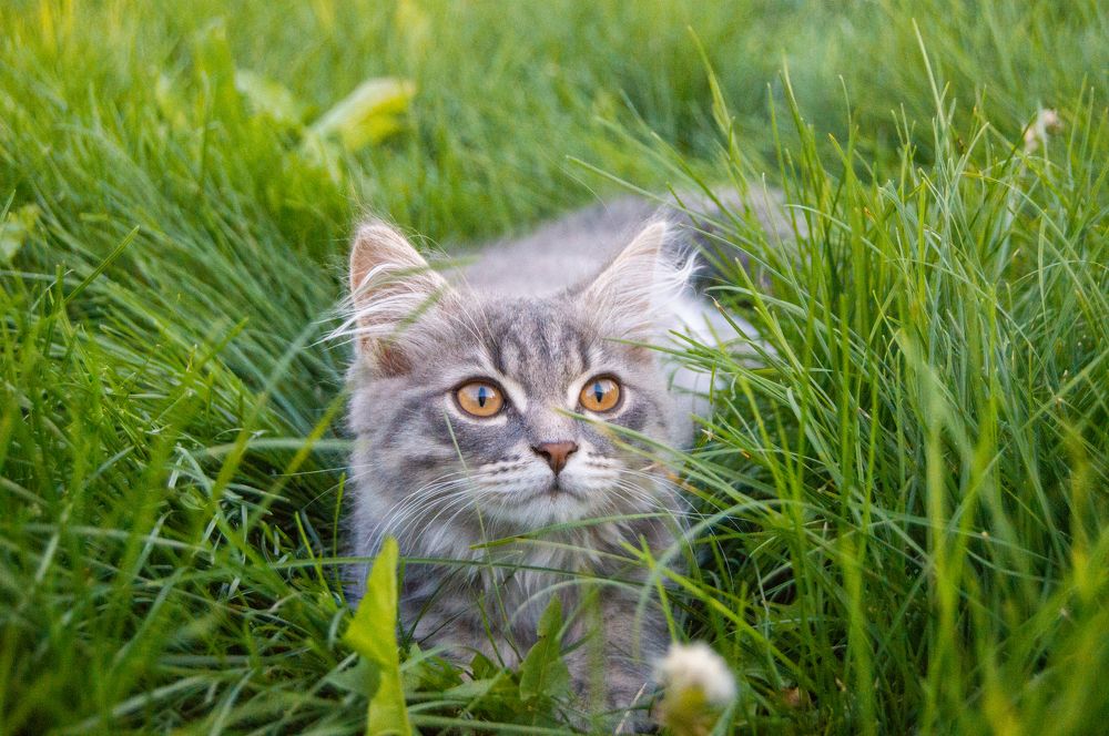 Photograph by Елизавета Гаранжа