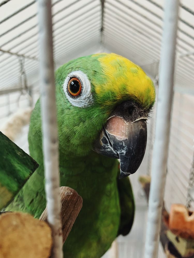 Photograph by Юля Курдова