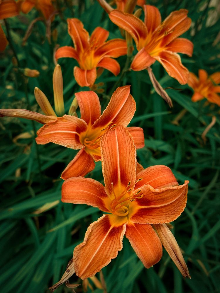 Photograph by Анастасия Улитко