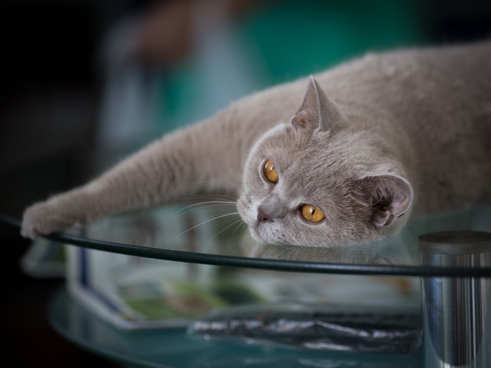 Photograph by Олег Дорошенко