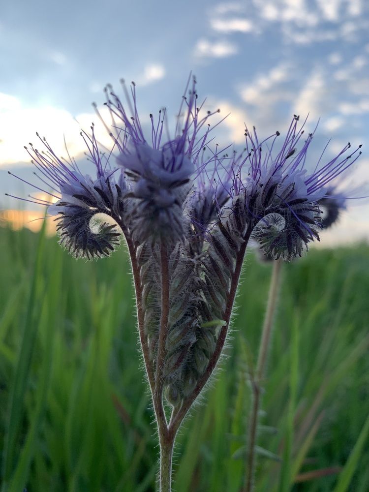 Фотография автора Ирина Шпаковская