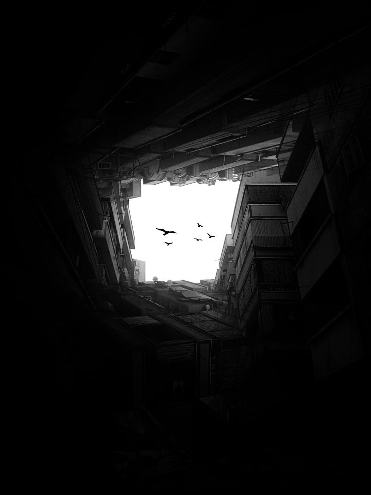 Photograph by Kareem Abo el magd