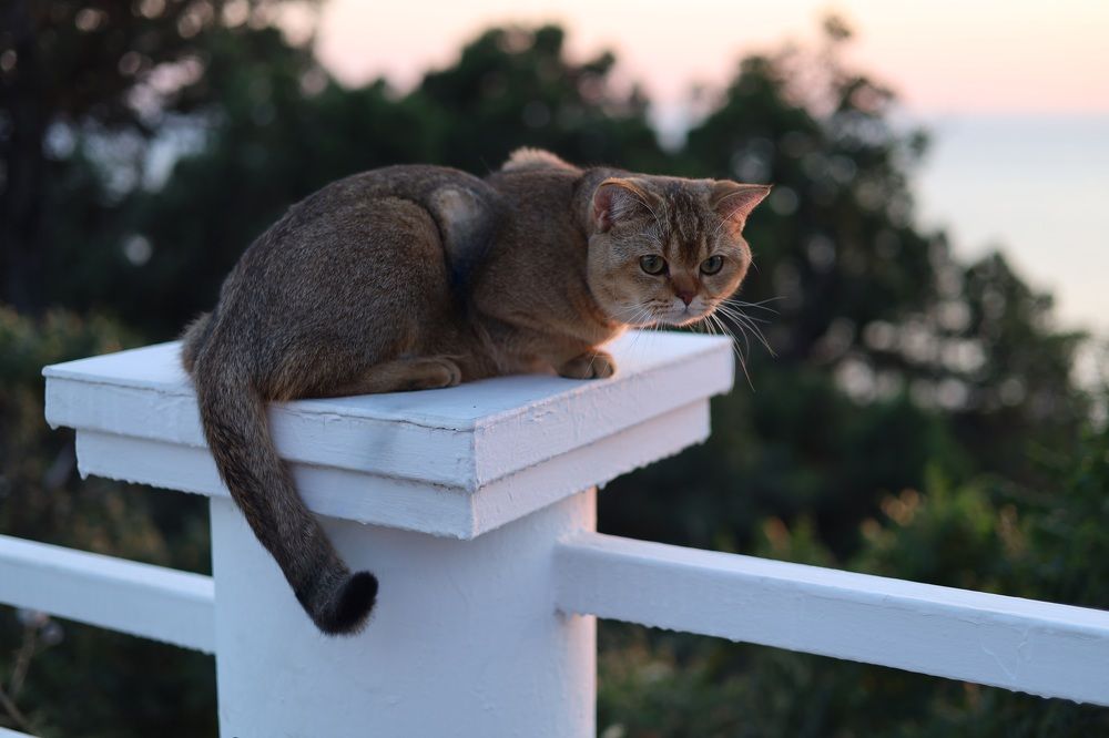 Photograph by INNA KHOMENKO