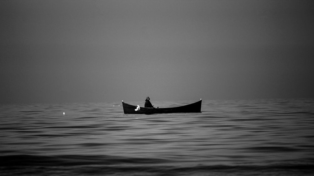 Photograph by hasan sorena jouri