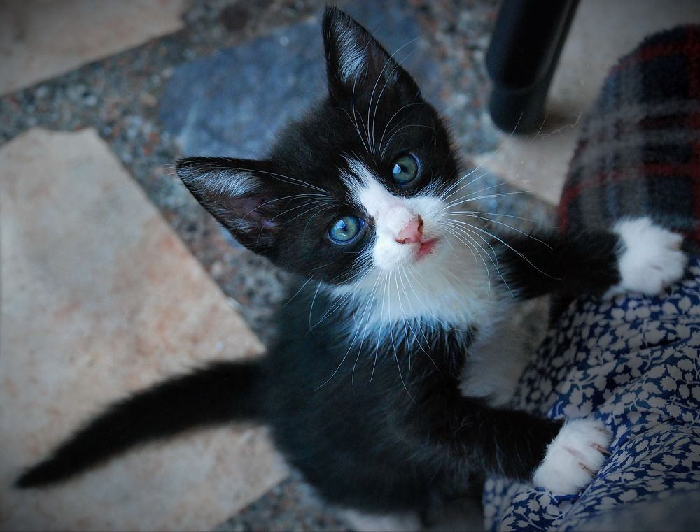 Photograph by Nadaškić Jasminka