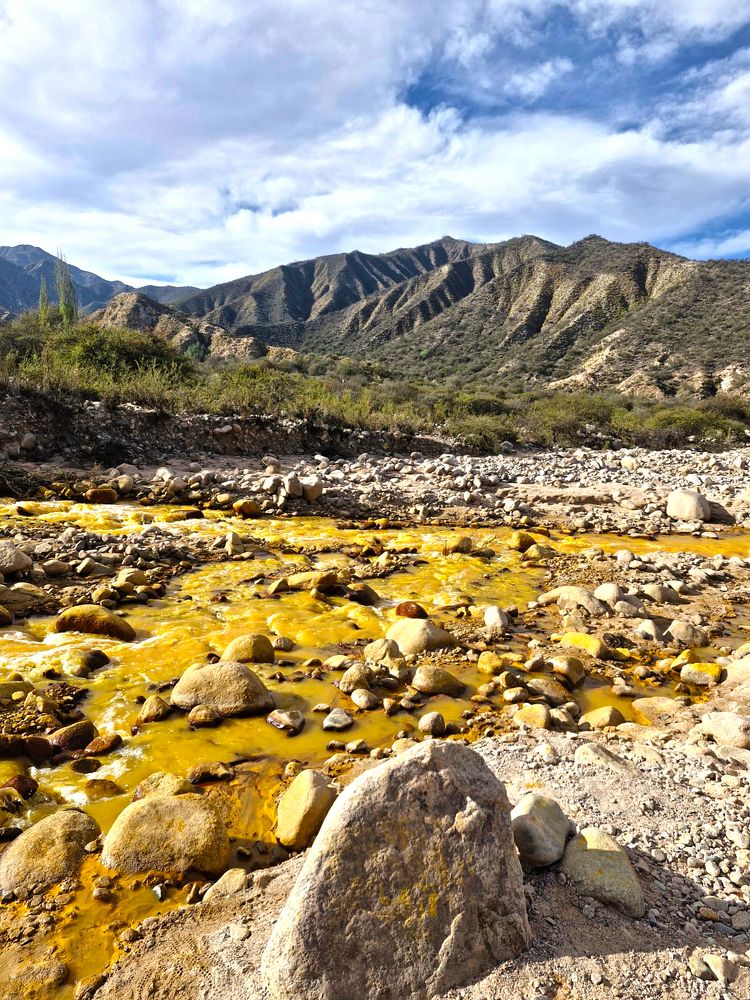 Фотография автора MIGUEL OMAR BARBERIS