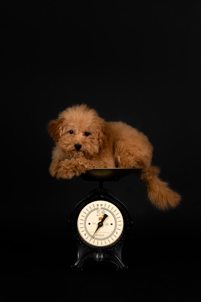 Фотография автора Alicia Mate