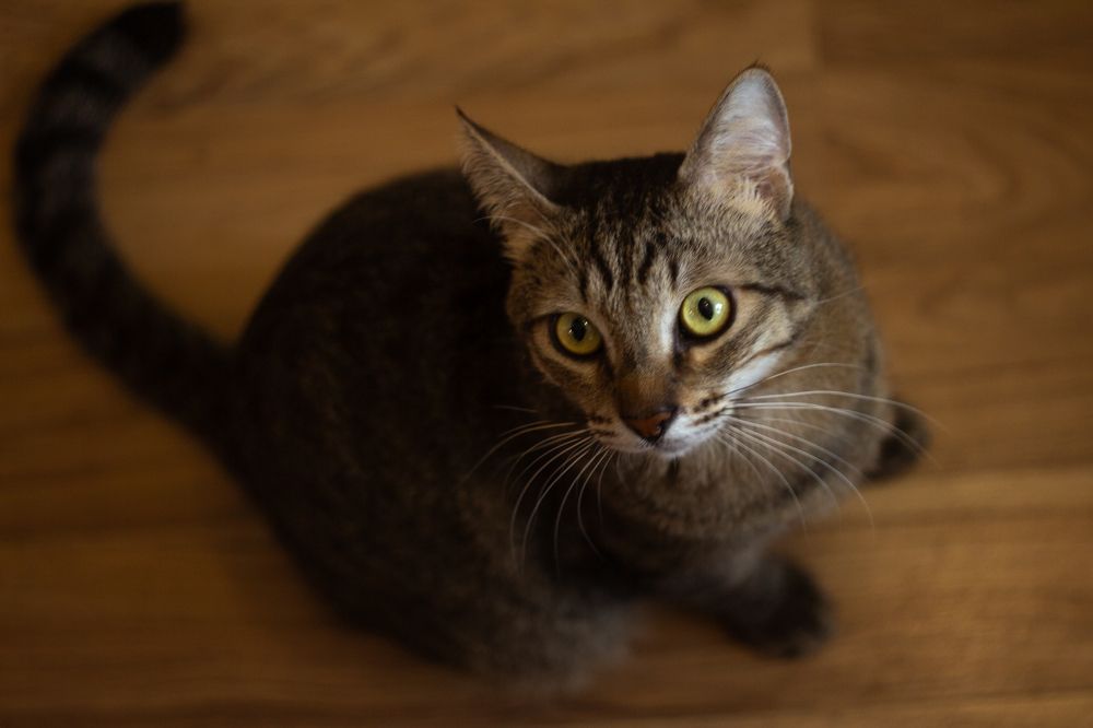 Photograph by Сергей Шестов