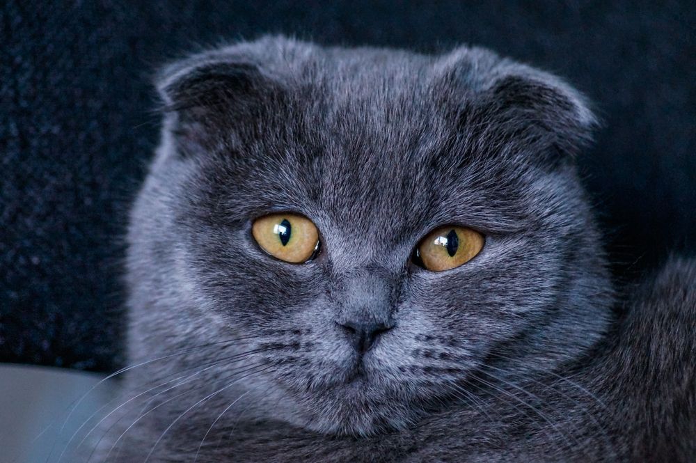 Photograph by Виктор Сёмушкин