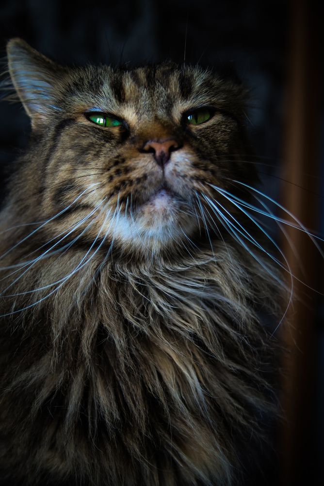 Photograph by Евгения Сенченко