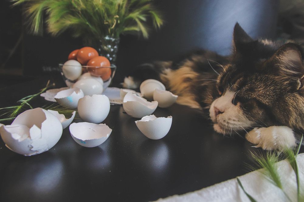 Photograph by Евгения Сенченко